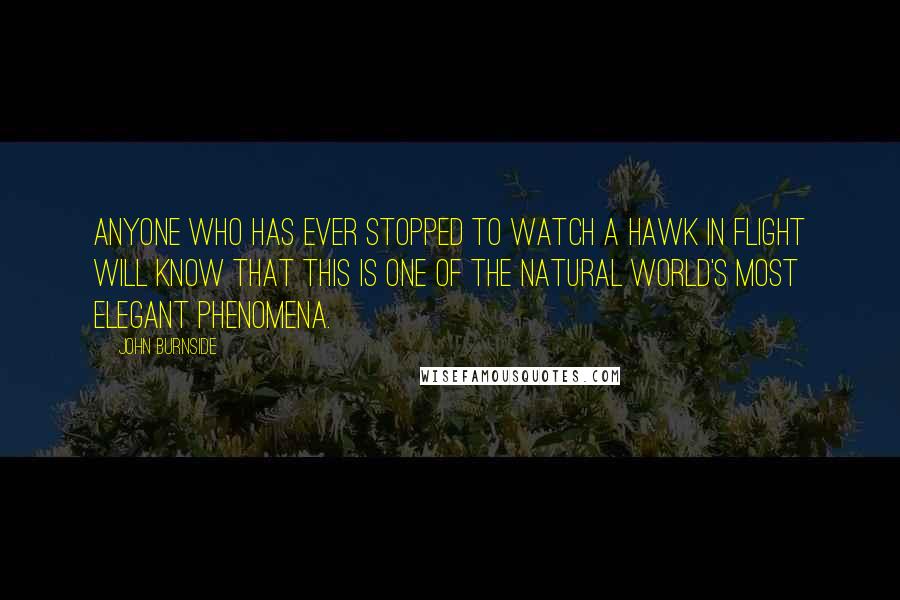 John Burnside Quotes: Anyone who has ever stopped to watch a hawk in flight will know that this is one of the natural world's most elegant phenomena.