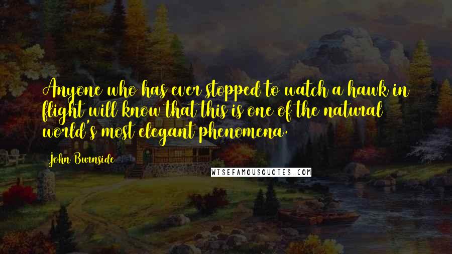 John Burnside Quotes: Anyone who has ever stopped to watch a hawk in flight will know that this is one of the natural world's most elegant phenomena.