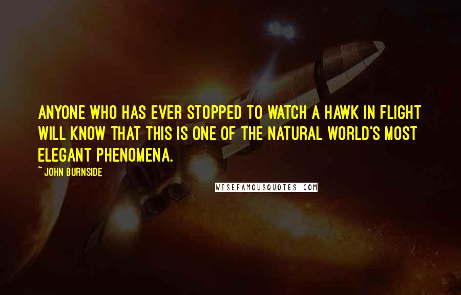 John Burnside Quotes: Anyone who has ever stopped to watch a hawk in flight will know that this is one of the natural world's most elegant phenomena.