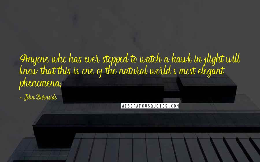 John Burnside Quotes: Anyone who has ever stopped to watch a hawk in flight will know that this is one of the natural world's most elegant phenomena.