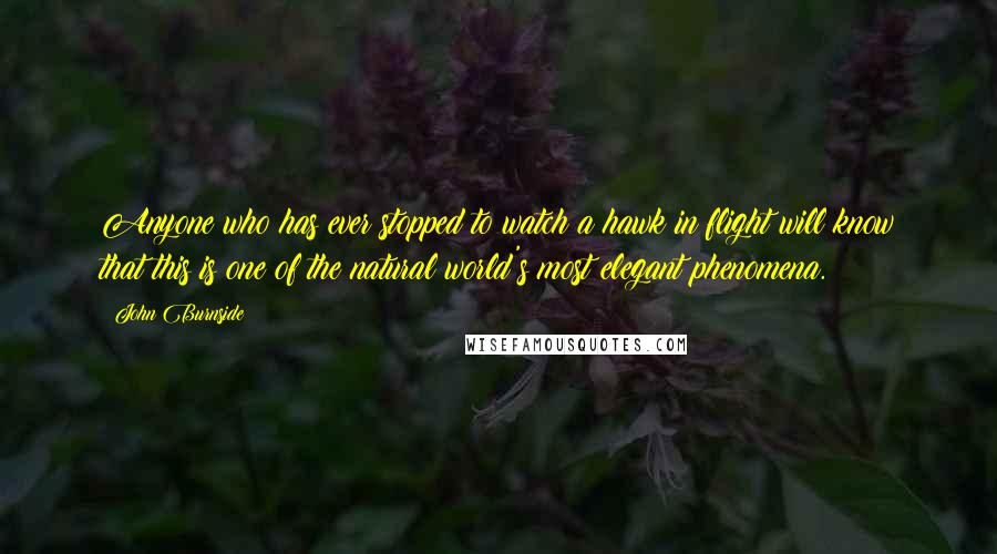 John Burnside Quotes: Anyone who has ever stopped to watch a hawk in flight will know that this is one of the natural world's most elegant phenomena.