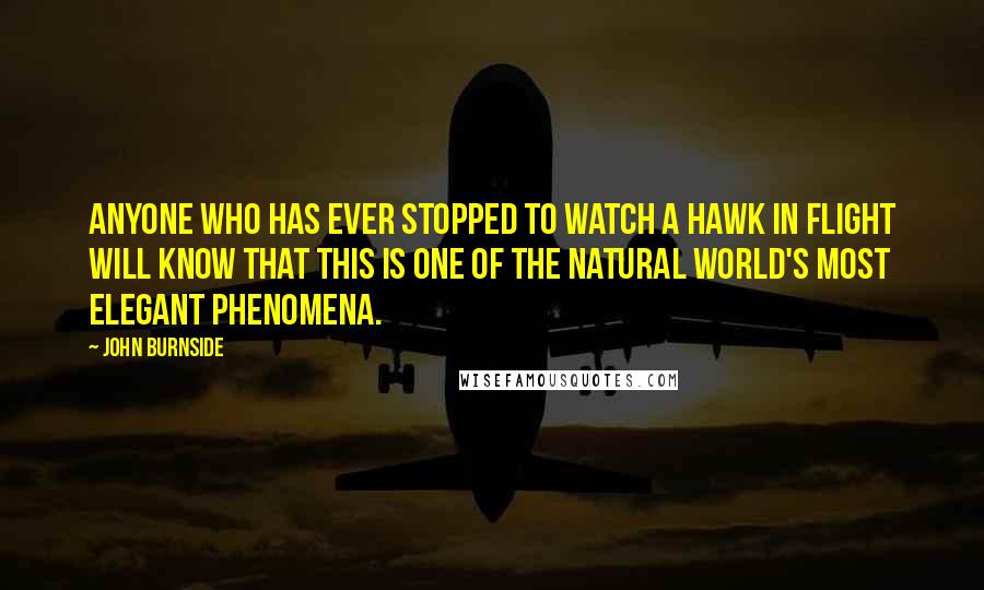 John Burnside Quotes: Anyone who has ever stopped to watch a hawk in flight will know that this is one of the natural world's most elegant phenomena.