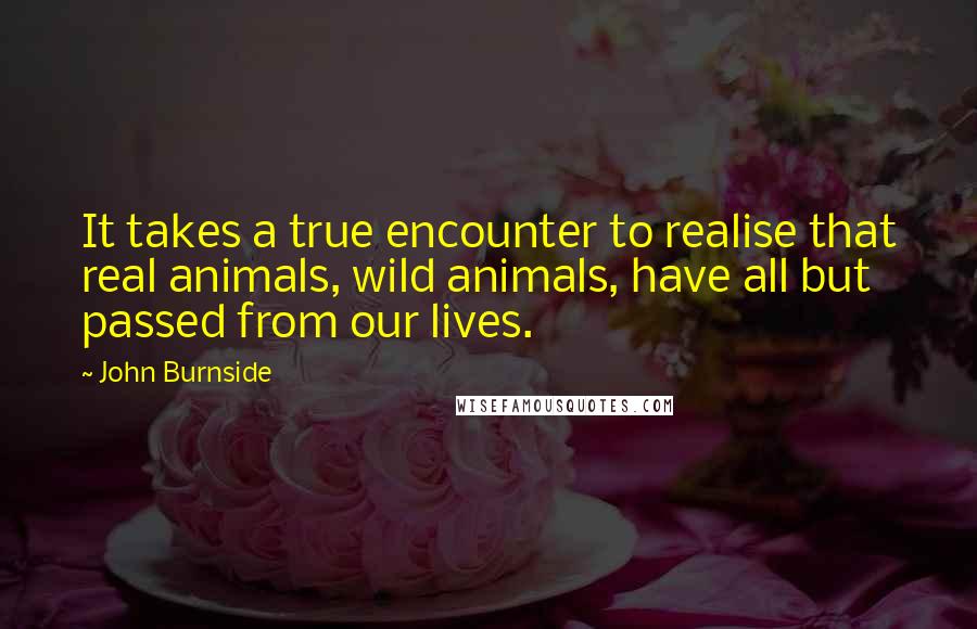 John Burnside Quotes: It takes a true encounter to realise that real animals, wild animals, have all but passed from our lives.