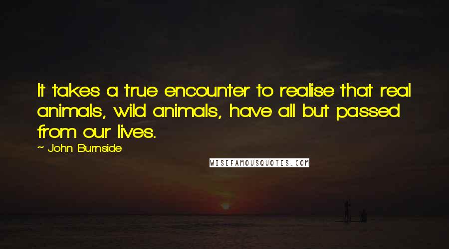 John Burnside Quotes: It takes a true encounter to realise that real animals, wild animals, have all but passed from our lives.