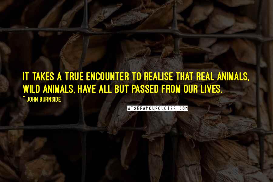 John Burnside Quotes: It takes a true encounter to realise that real animals, wild animals, have all but passed from our lives.