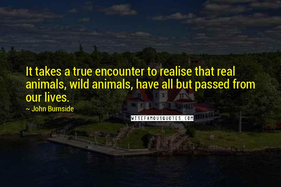 John Burnside Quotes: It takes a true encounter to realise that real animals, wild animals, have all but passed from our lives.