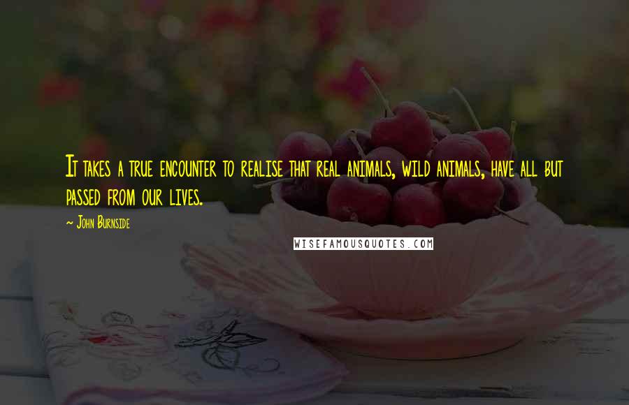 John Burnside Quotes: It takes a true encounter to realise that real animals, wild animals, have all but passed from our lives.