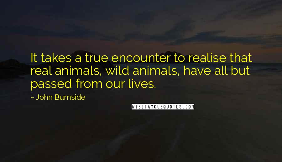 John Burnside Quotes: It takes a true encounter to realise that real animals, wild animals, have all but passed from our lives.