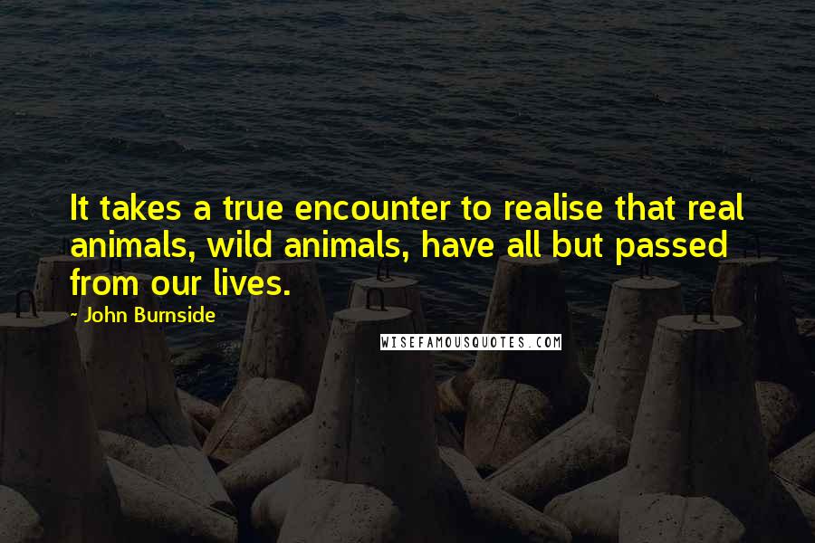 John Burnside Quotes: It takes a true encounter to realise that real animals, wild animals, have all but passed from our lives.