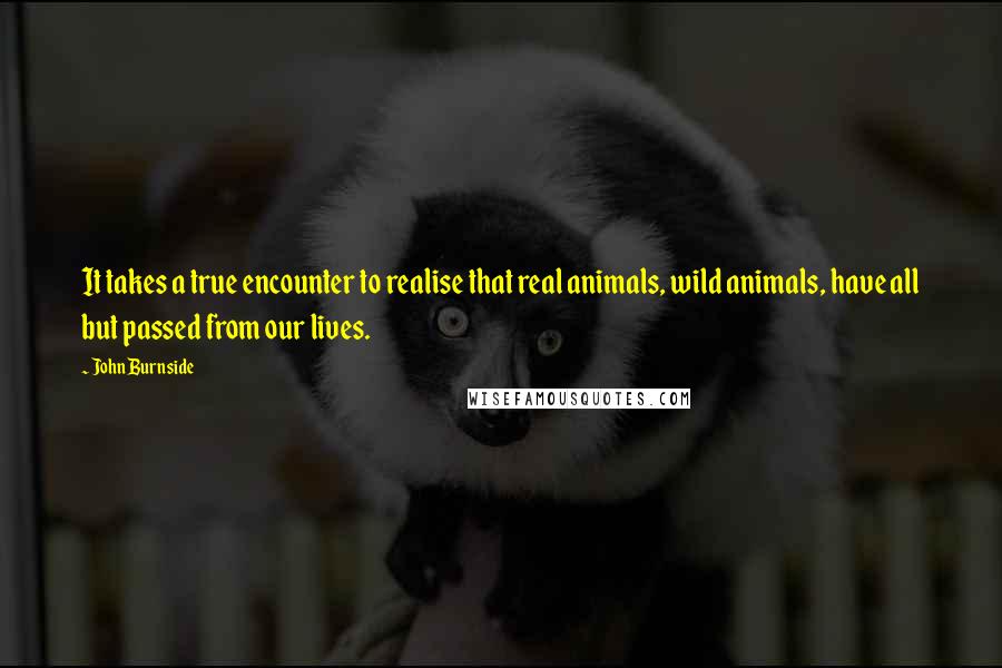 John Burnside Quotes: It takes a true encounter to realise that real animals, wild animals, have all but passed from our lives.