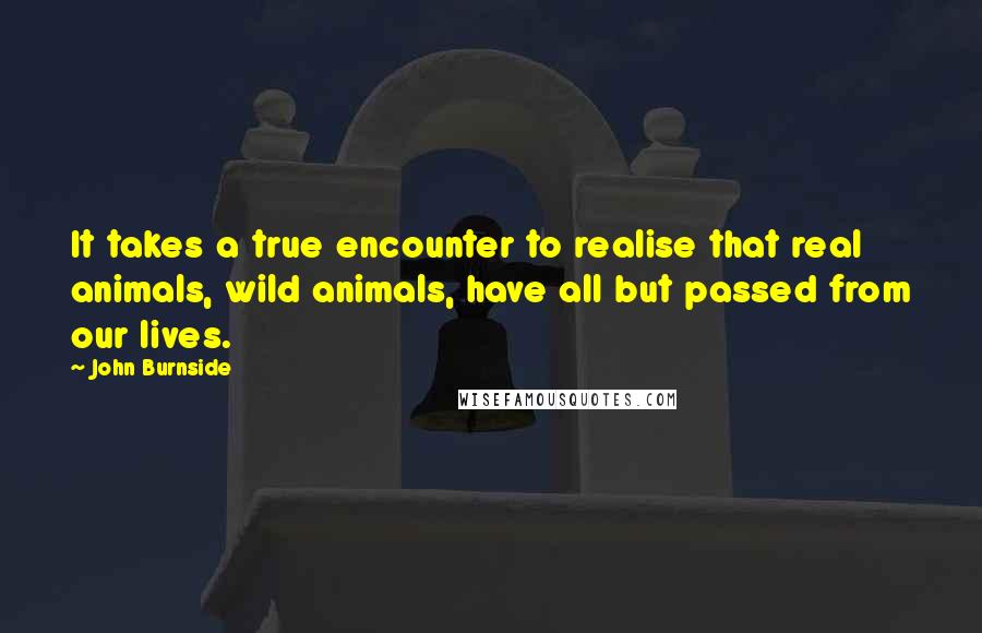 John Burnside Quotes: It takes a true encounter to realise that real animals, wild animals, have all but passed from our lives.