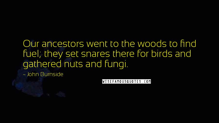 John Burnside Quotes: Our ancestors went to the woods to find fuel; they set snares there for birds and gathered nuts and fungi.