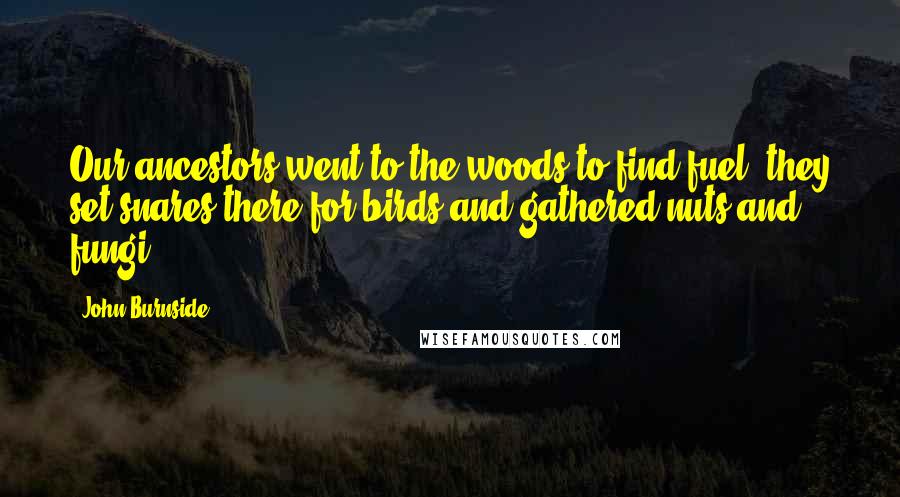 John Burnside Quotes: Our ancestors went to the woods to find fuel; they set snares there for birds and gathered nuts and fungi.