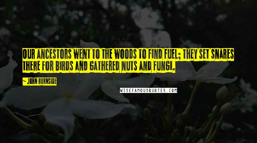 John Burnside Quotes: Our ancestors went to the woods to find fuel; they set snares there for birds and gathered nuts and fungi.