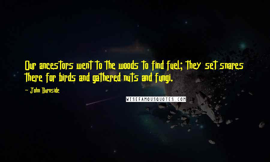 John Burnside Quotes: Our ancestors went to the woods to find fuel; they set snares there for birds and gathered nuts and fungi.