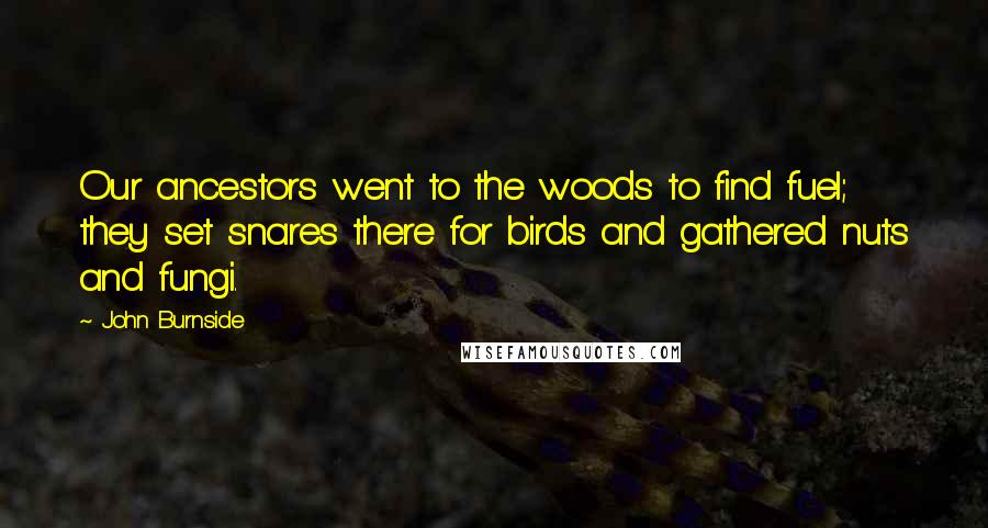 John Burnside Quotes: Our ancestors went to the woods to find fuel; they set snares there for birds and gathered nuts and fungi.