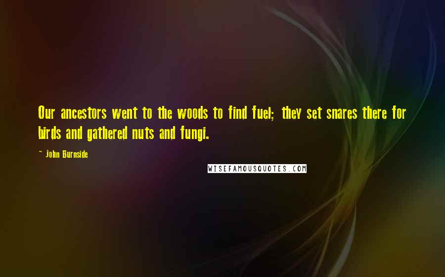 John Burnside Quotes: Our ancestors went to the woods to find fuel; they set snares there for birds and gathered nuts and fungi.