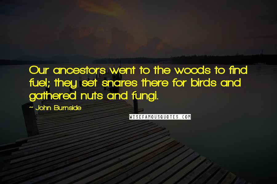 John Burnside Quotes: Our ancestors went to the woods to find fuel; they set snares there for birds and gathered nuts and fungi.