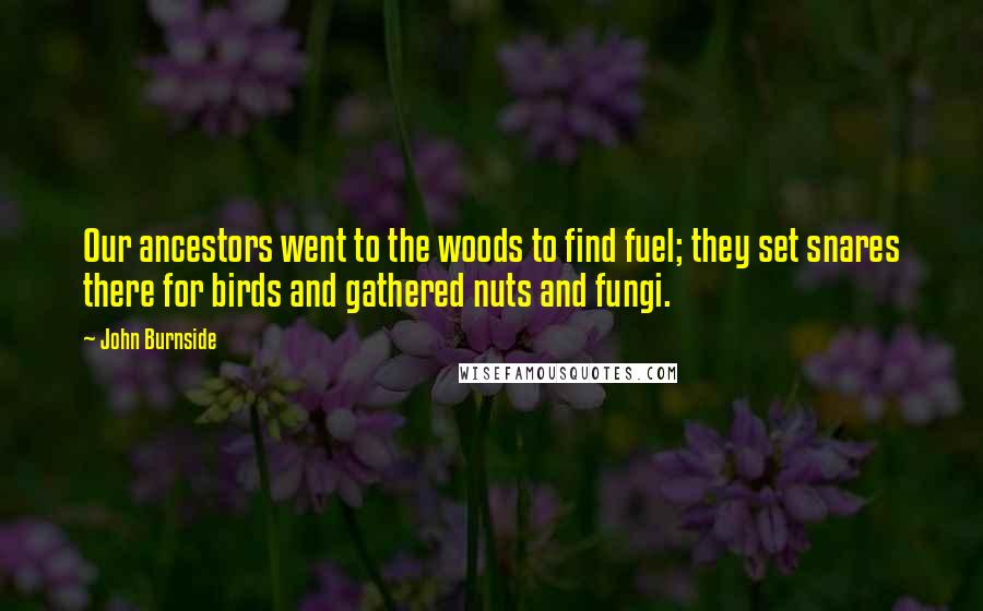 John Burnside Quotes: Our ancestors went to the woods to find fuel; they set snares there for birds and gathered nuts and fungi.