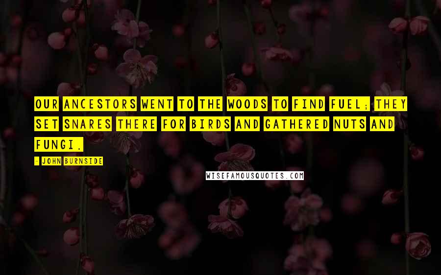 John Burnside Quotes: Our ancestors went to the woods to find fuel; they set snares there for birds and gathered nuts and fungi.