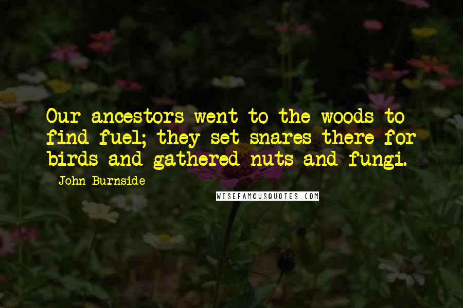 John Burnside Quotes: Our ancestors went to the woods to find fuel; they set snares there for birds and gathered nuts and fungi.