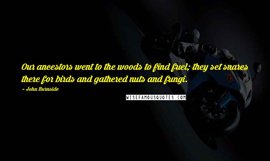 John Burnside Quotes: Our ancestors went to the woods to find fuel; they set snares there for birds and gathered nuts and fungi.