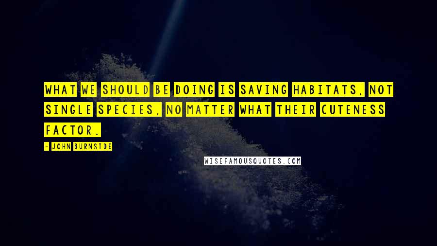 John Burnside Quotes: What we should be doing is saving habitats, not single species, no matter what their cuteness factor.