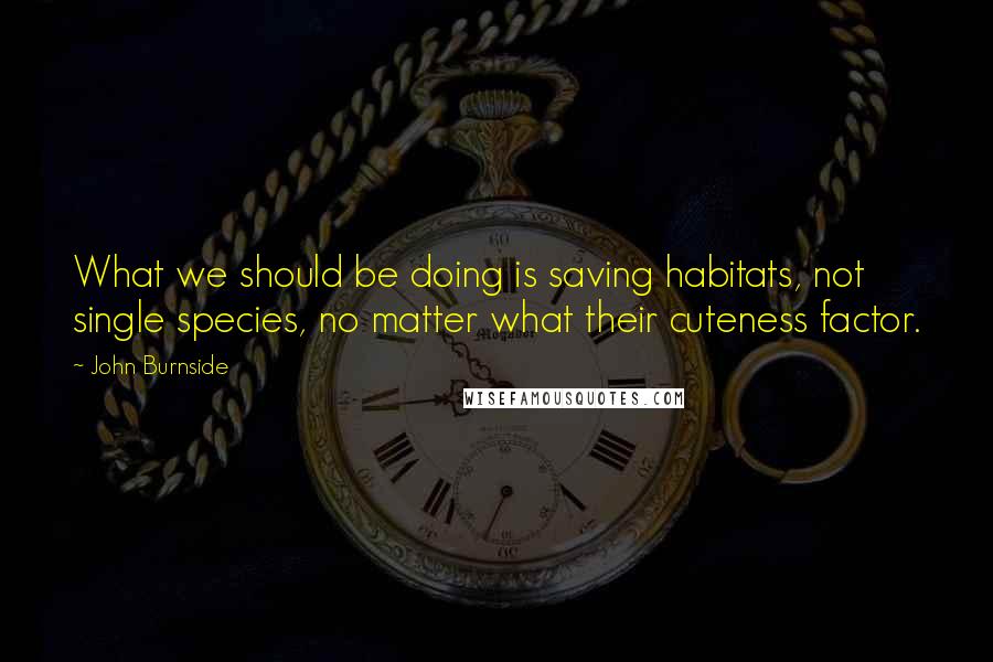 John Burnside Quotes: What we should be doing is saving habitats, not single species, no matter what their cuteness factor.