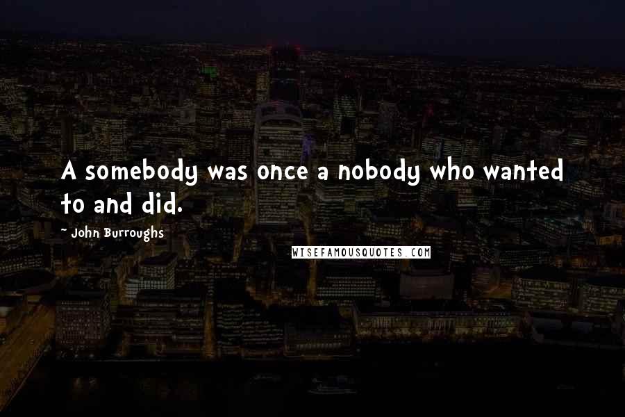 John Burroughs Quotes: A somebody was once a nobody who wanted to and did.