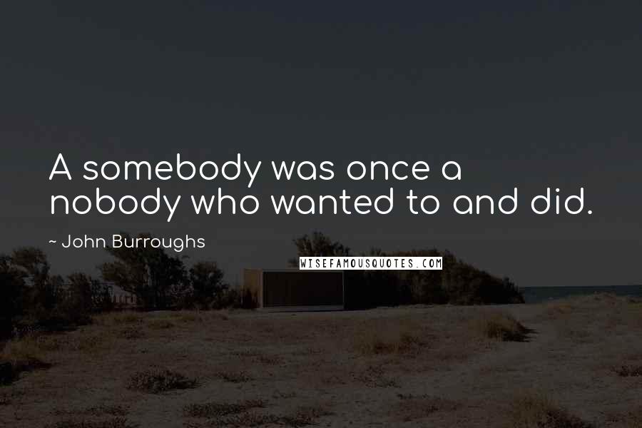John Burroughs Quotes: A somebody was once a nobody who wanted to and did.
