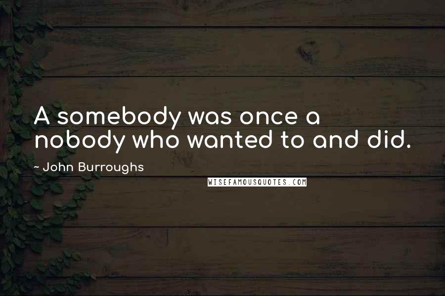 John Burroughs Quotes: A somebody was once a nobody who wanted to and did.