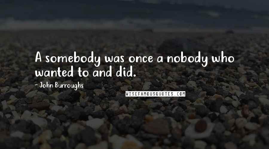 John Burroughs Quotes: A somebody was once a nobody who wanted to and did.