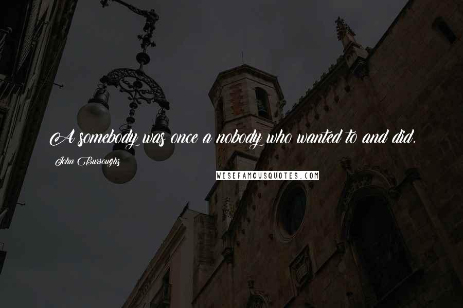 John Burroughs Quotes: A somebody was once a nobody who wanted to and did.