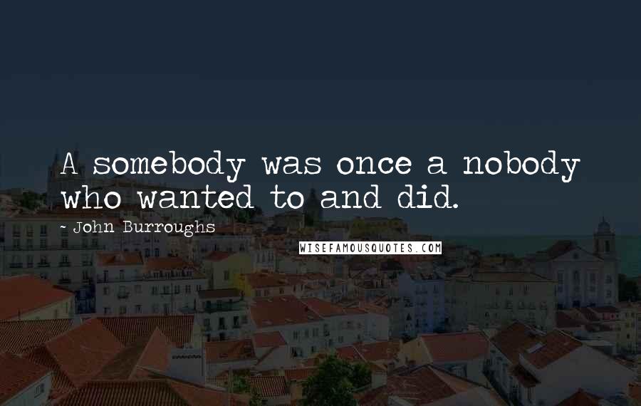 John Burroughs Quotes: A somebody was once a nobody who wanted to and did.