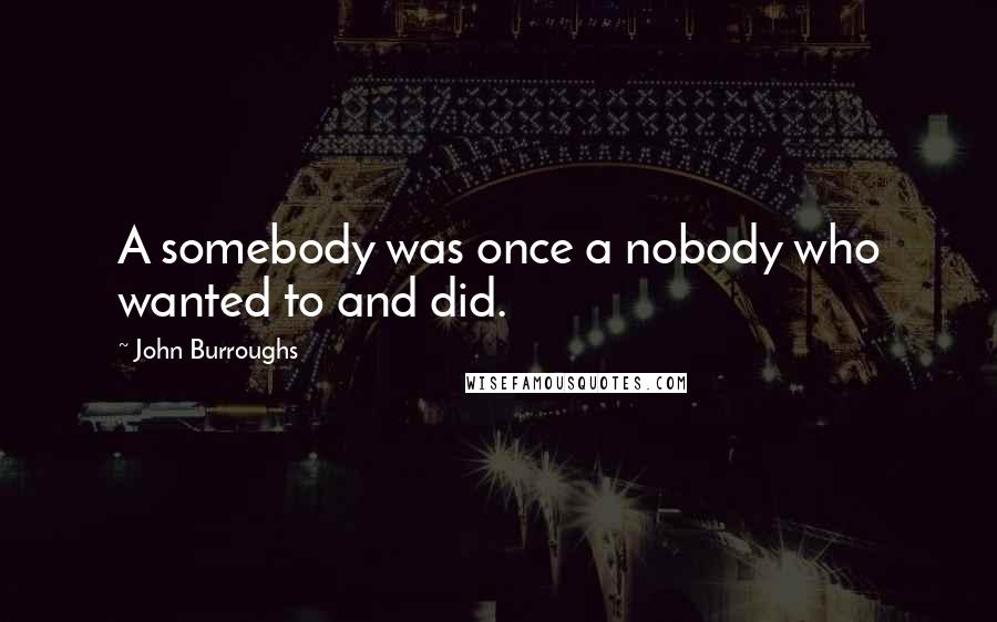 John Burroughs Quotes: A somebody was once a nobody who wanted to and did.