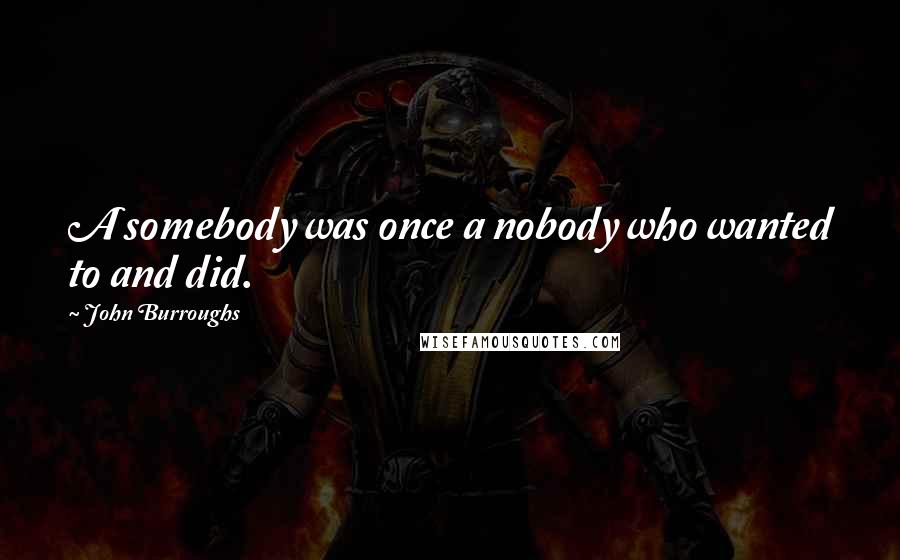 John Burroughs Quotes: A somebody was once a nobody who wanted to and did.