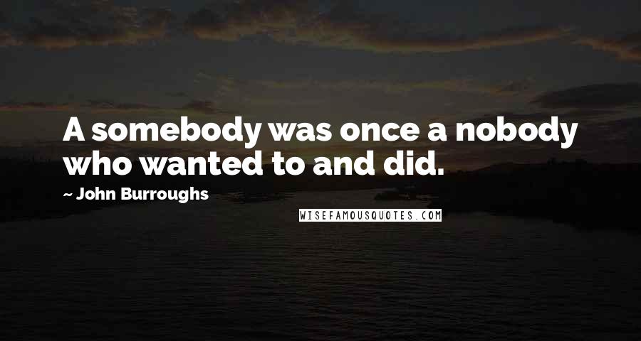 John Burroughs Quotes: A somebody was once a nobody who wanted to and did.