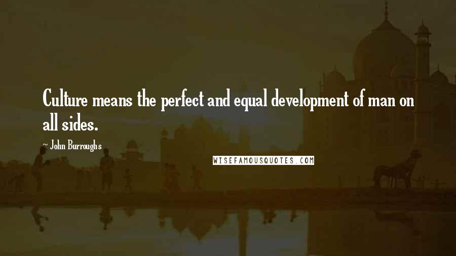 John Burroughs Quotes: Culture means the perfect and equal development of man on all sides.