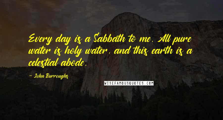 John Burroughs Quotes: Every day is a Sabbath to me. All pure water is holy water, and this earth is a celestial abode.