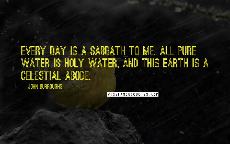 John Burroughs Quotes: Every day is a Sabbath to me. All pure water is holy water, and this earth is a celestial abode.