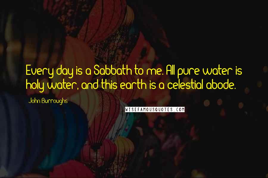 John Burroughs Quotes: Every day is a Sabbath to me. All pure water is holy water, and this earth is a celestial abode.