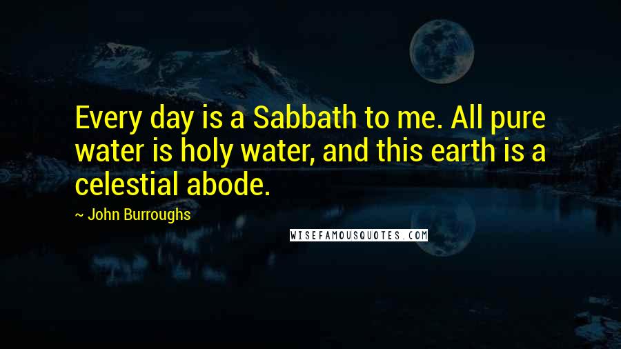 John Burroughs Quotes: Every day is a Sabbath to me. All pure water is holy water, and this earth is a celestial abode.