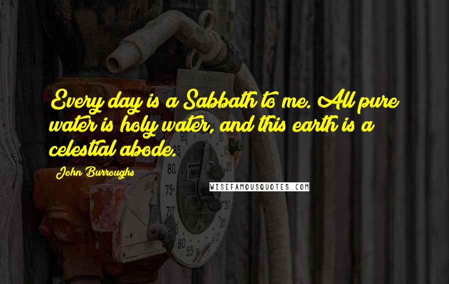 John Burroughs Quotes: Every day is a Sabbath to me. All pure water is holy water, and this earth is a celestial abode.