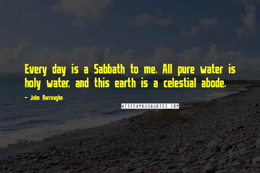 John Burroughs Quotes: Every day is a Sabbath to me. All pure water is holy water, and this earth is a celestial abode.