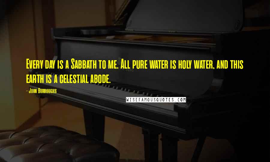 John Burroughs Quotes: Every day is a Sabbath to me. All pure water is holy water, and this earth is a celestial abode.