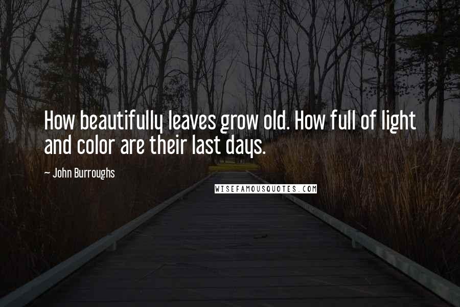 John Burroughs Quotes: How beautifully leaves grow old. How full of light and color are their last days.