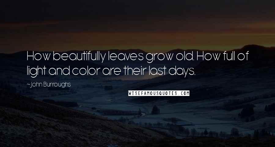 John Burroughs Quotes: How beautifully leaves grow old. How full of light and color are their last days.