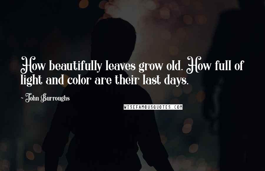 John Burroughs Quotes: How beautifully leaves grow old. How full of light and color are their last days.