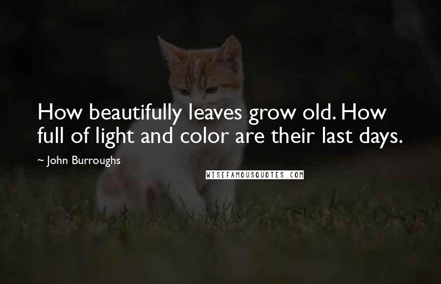 John Burroughs Quotes: How beautifully leaves grow old. How full of light and color are their last days.