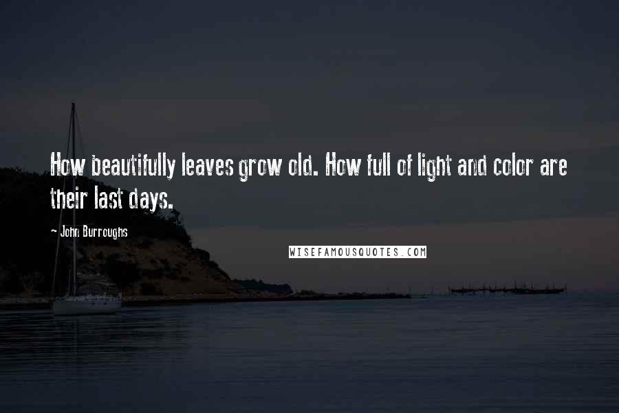 John Burroughs Quotes: How beautifully leaves grow old. How full of light and color are their last days.